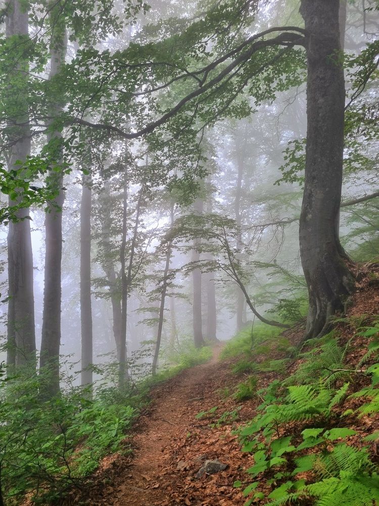 Photograph by Елена Мурашова