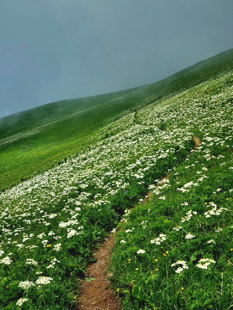 Фотография автора Елена Мурашова