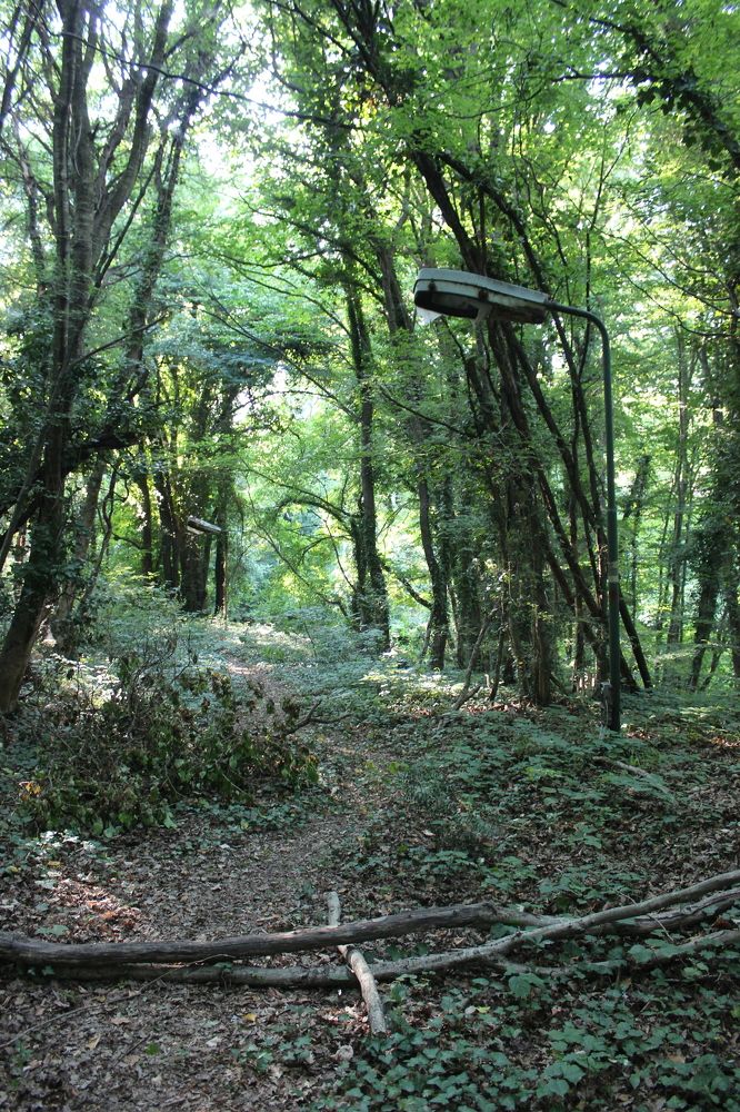 Photograph by Anastasia Kodatenko