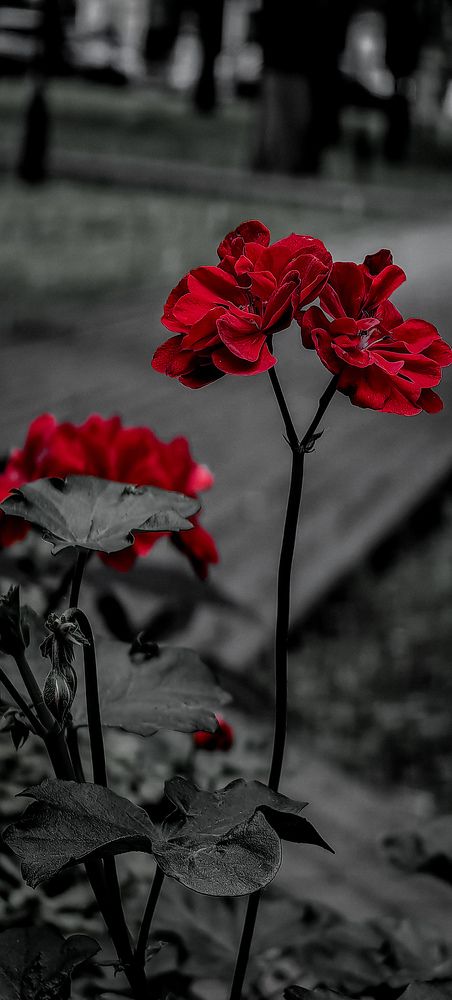 Photograph by Яна Королева