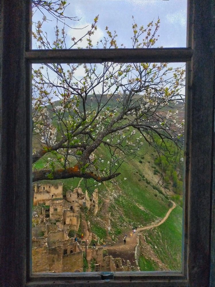 Photograph by Мария Воронцова