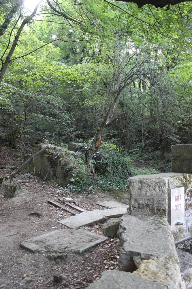 Photograph by Anastasia Kodatenko