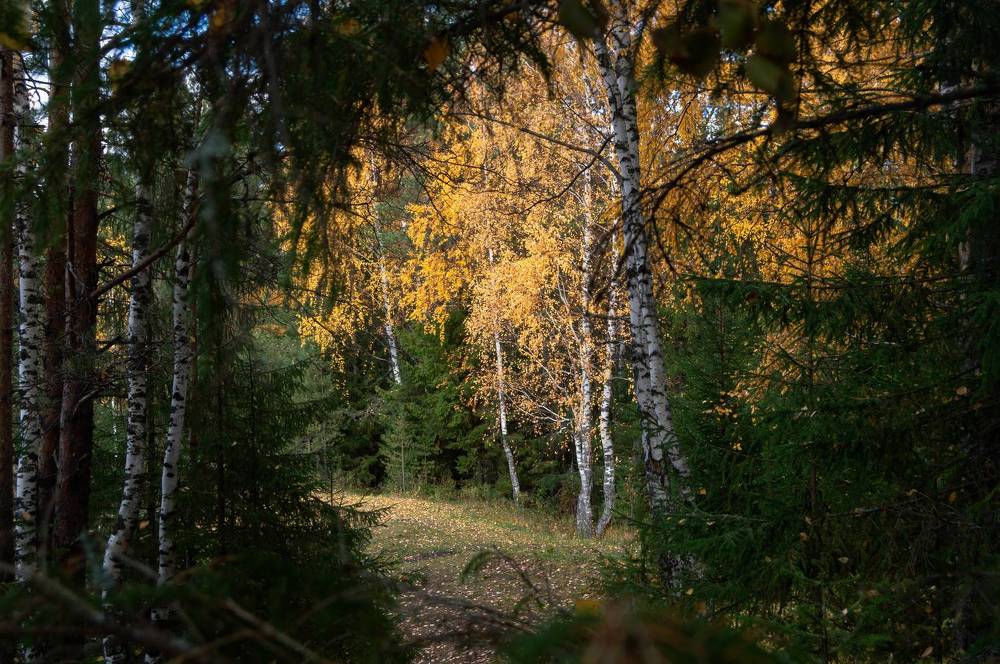 Фотография автора Мария Михайлова