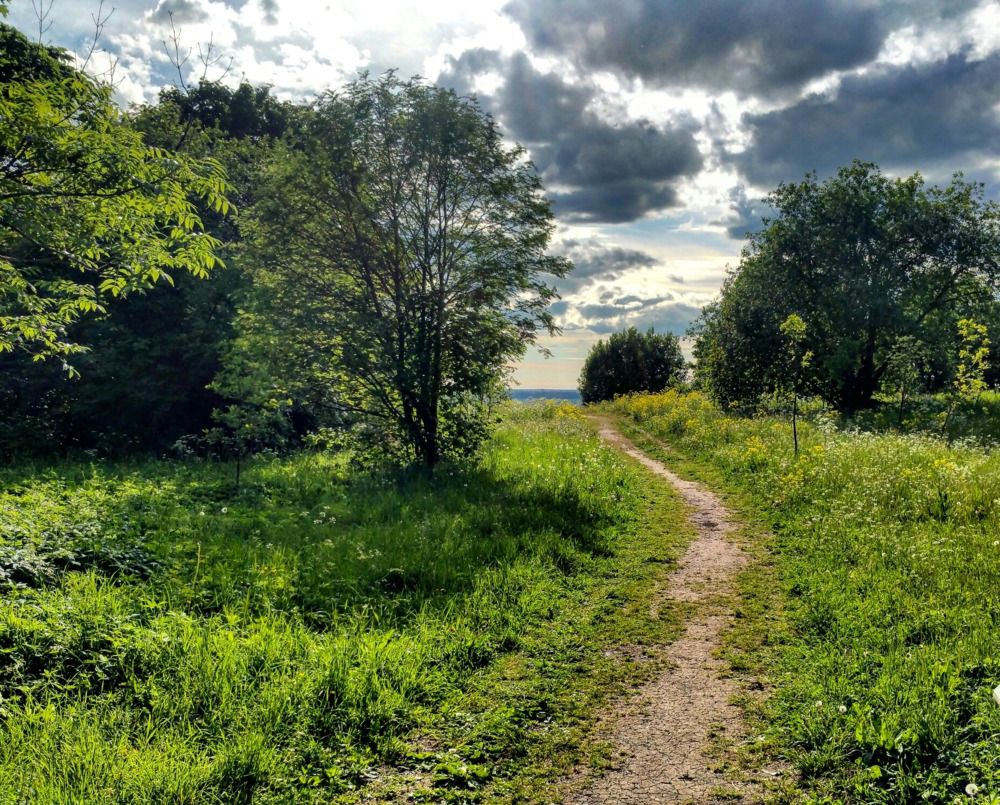 Photograph by Михаил Жарский