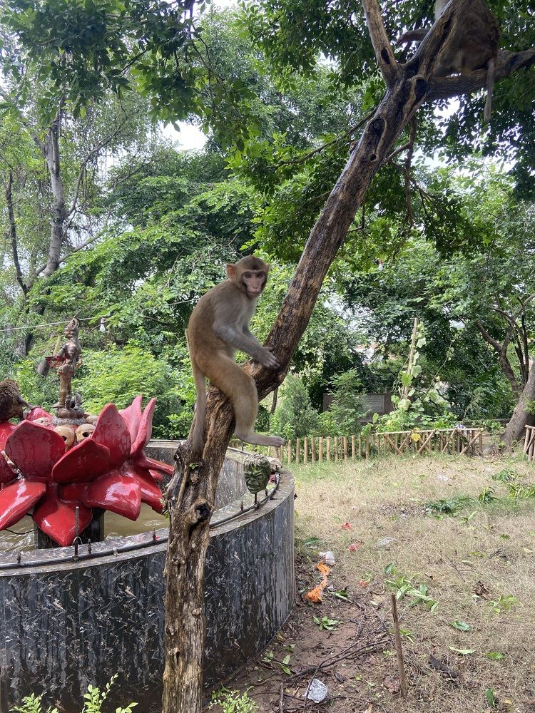 Photograph by Shivam Kashyap