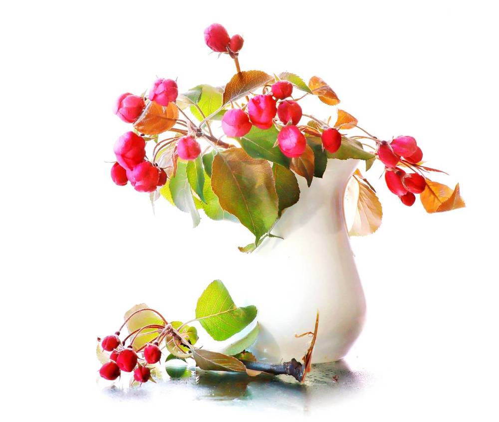 Photograph by Olga Asson