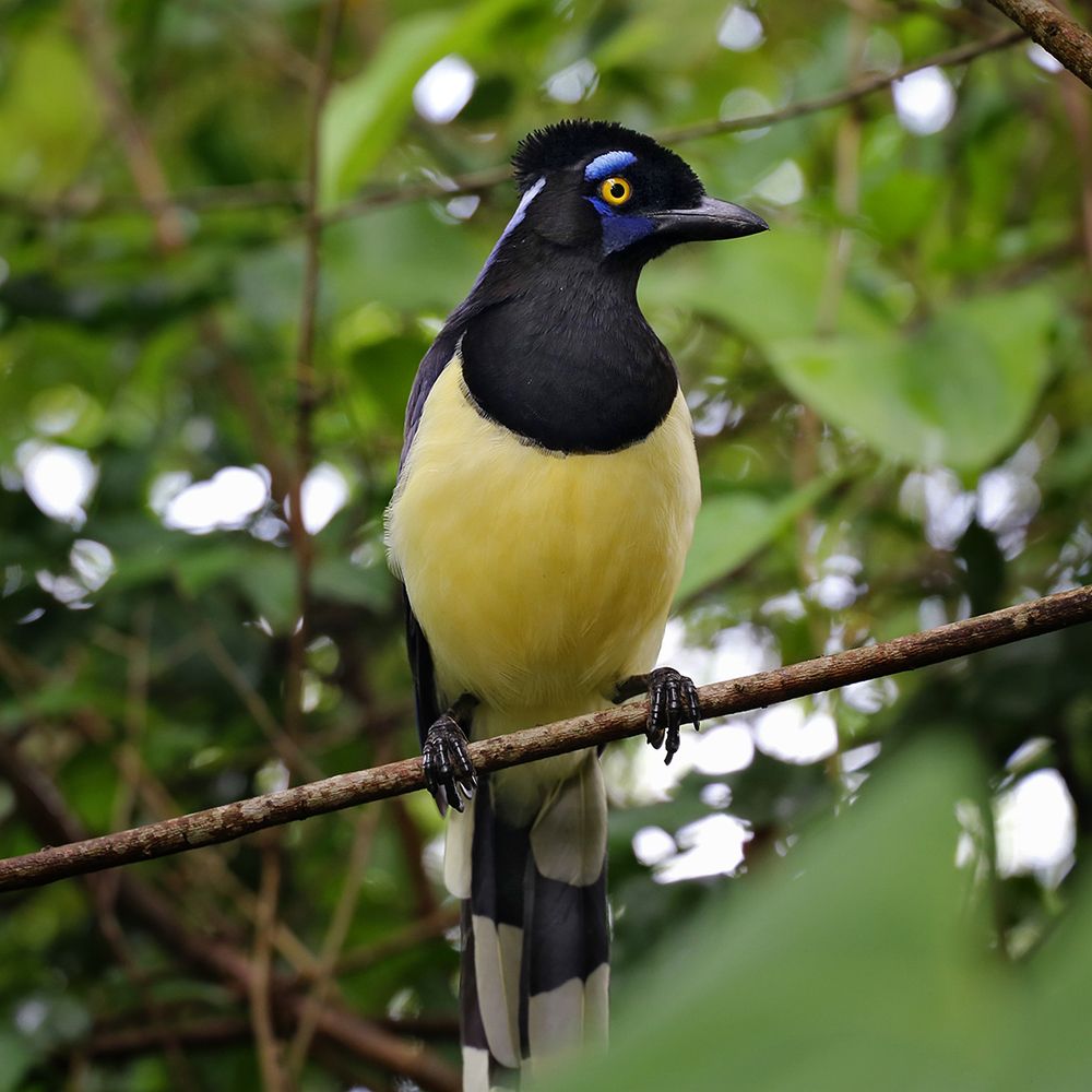 Фотография автора Aleksei Kartashov