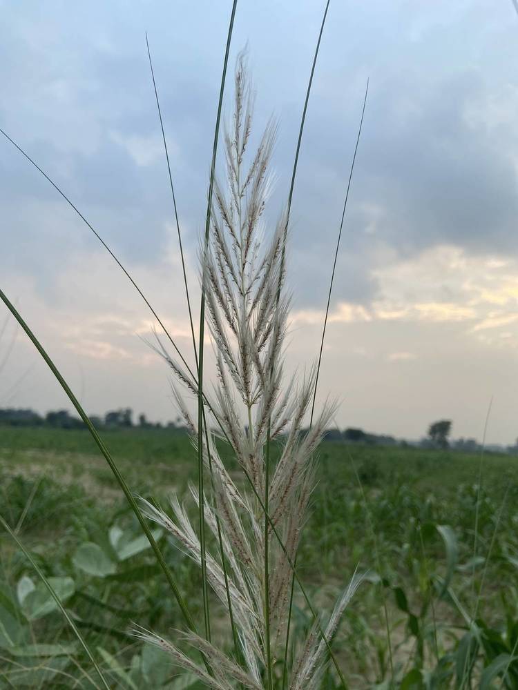 Photograph by Shivam Kashyap