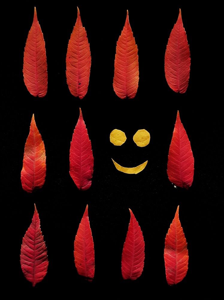 Photograph by Юлия Зинякова