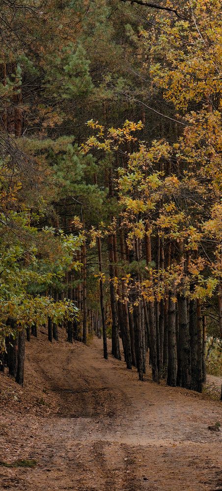 Photograph by Яна Королева