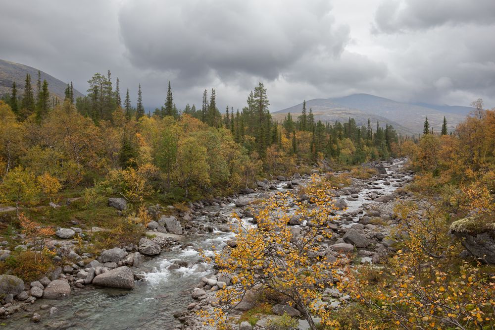 Photograph by Елена Хорохорина