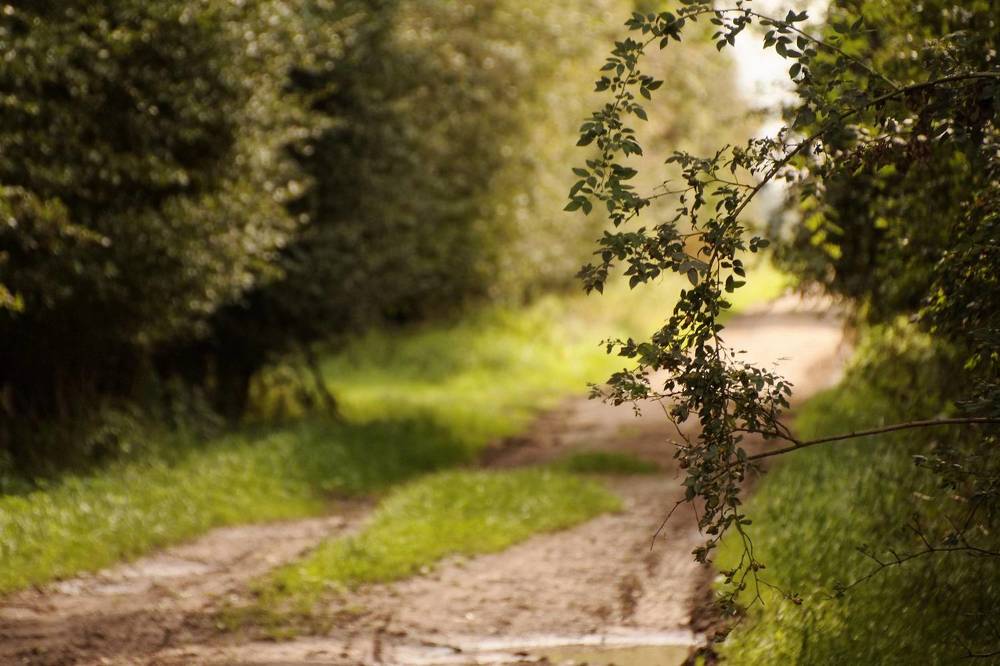 Photograph by Михаил Жарский