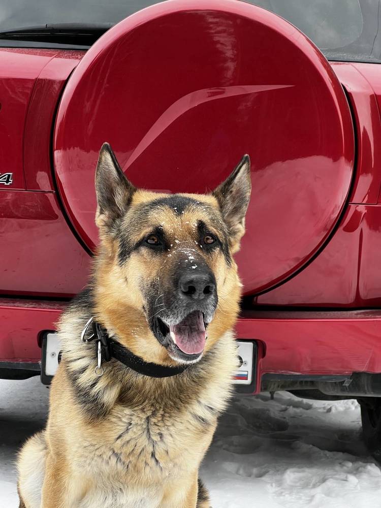 Photograph by Пылаев Александр