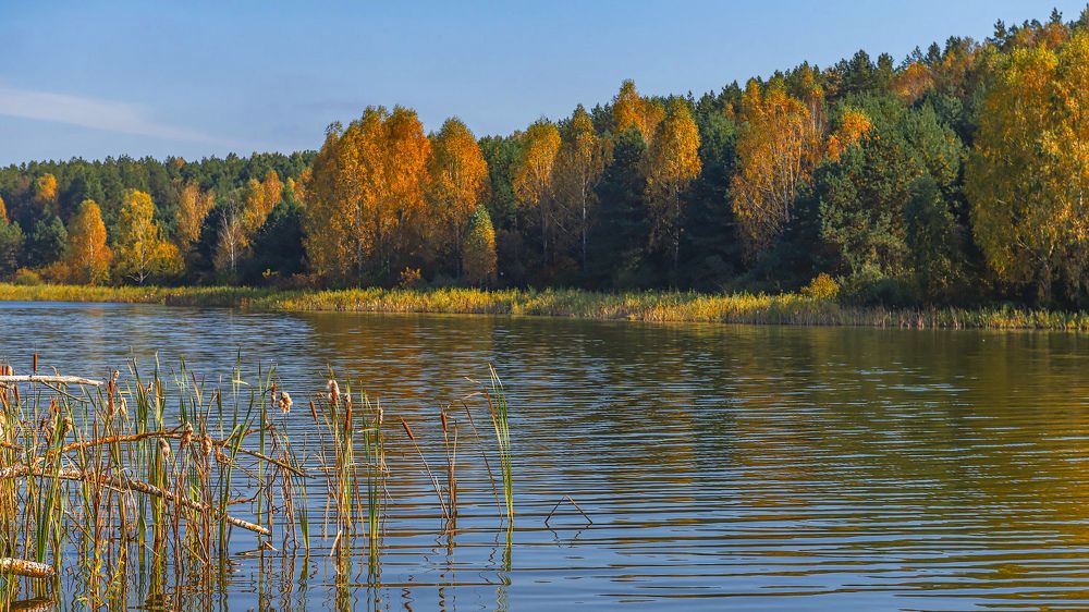 Photograph by Марина Короткова