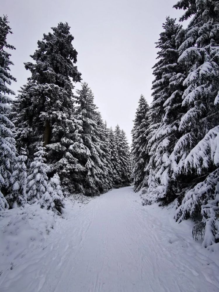 Photograph by Михаил Жарский