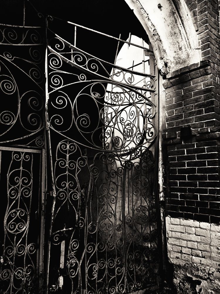 Photograph by Людмила М