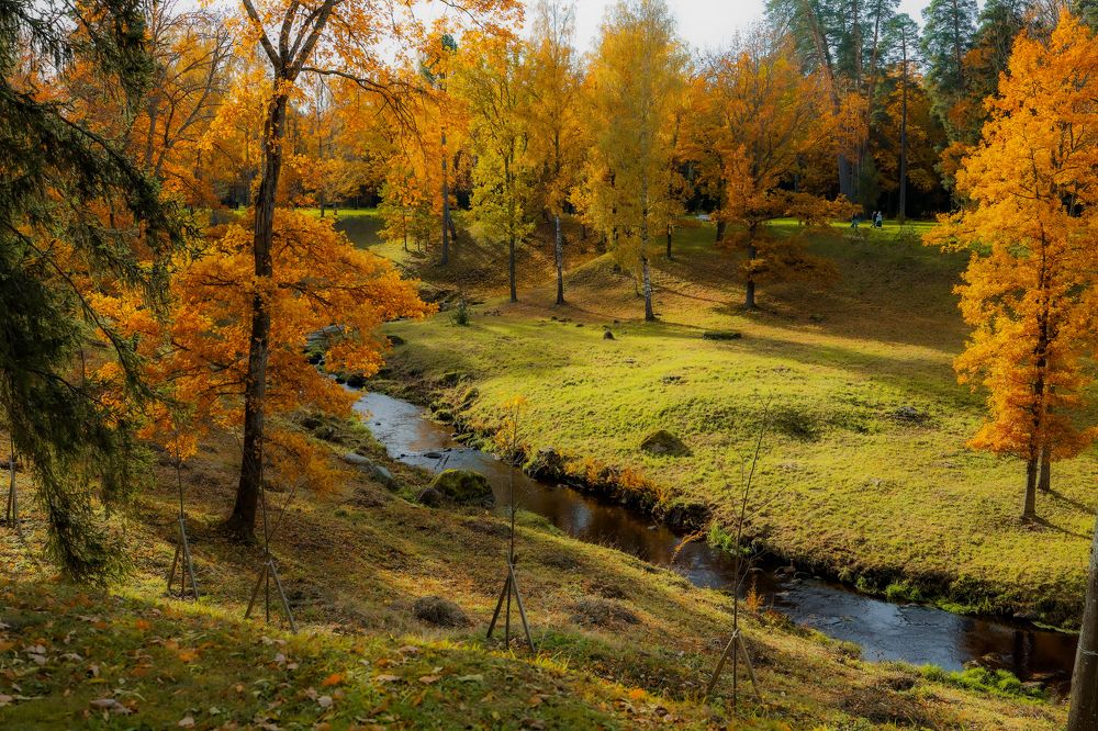 Photograph by Наталья Чернышова