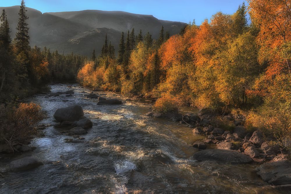 Photograph by Клясюк Галина