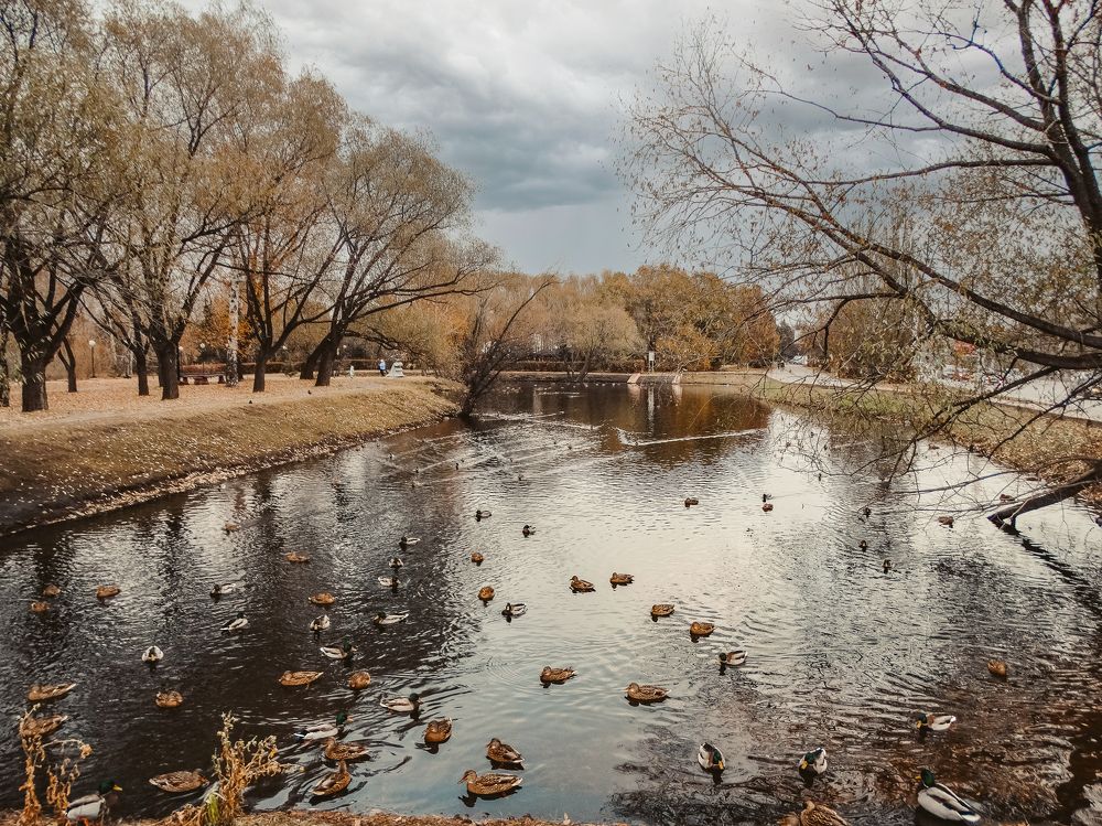 Photograph by Анжелика Трошина