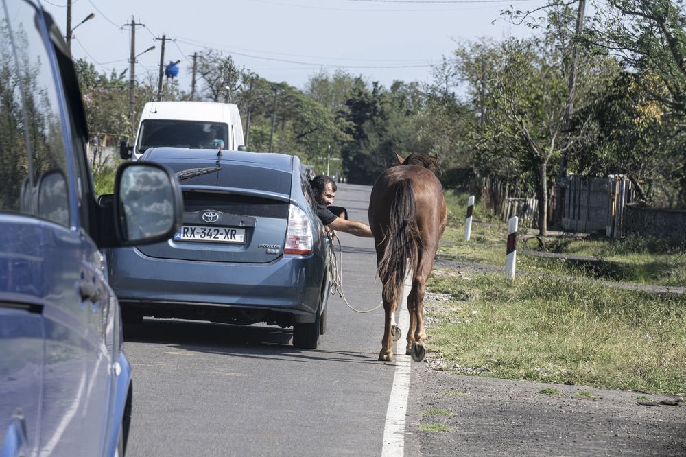 Фотография автора Берлиоз Бегемот