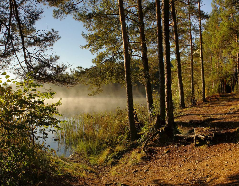 оз.Селигер,октябрь