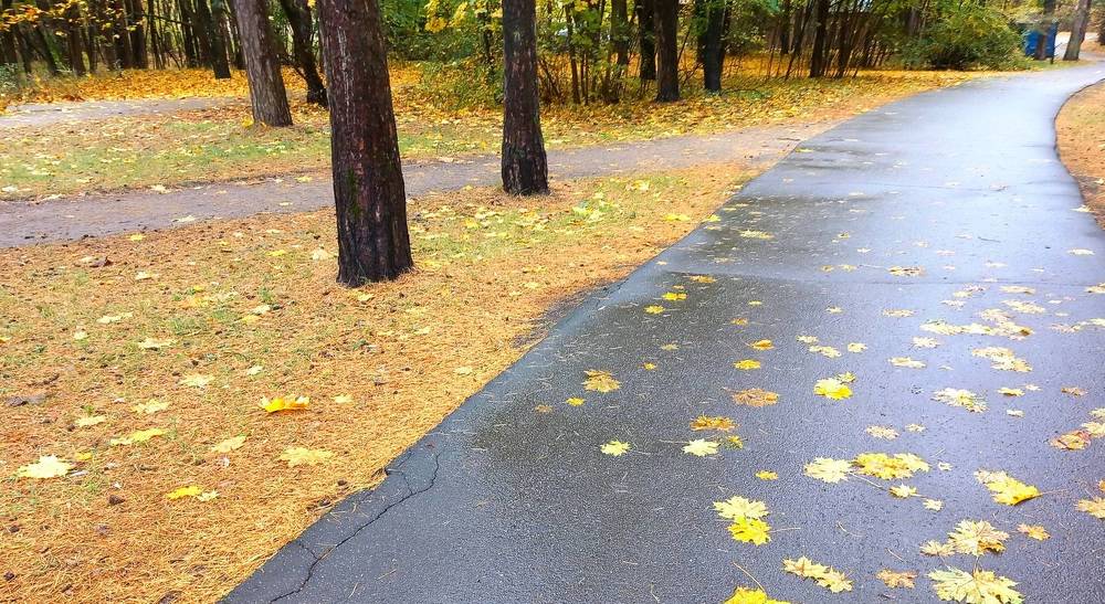 Photograph by Марина Чуева