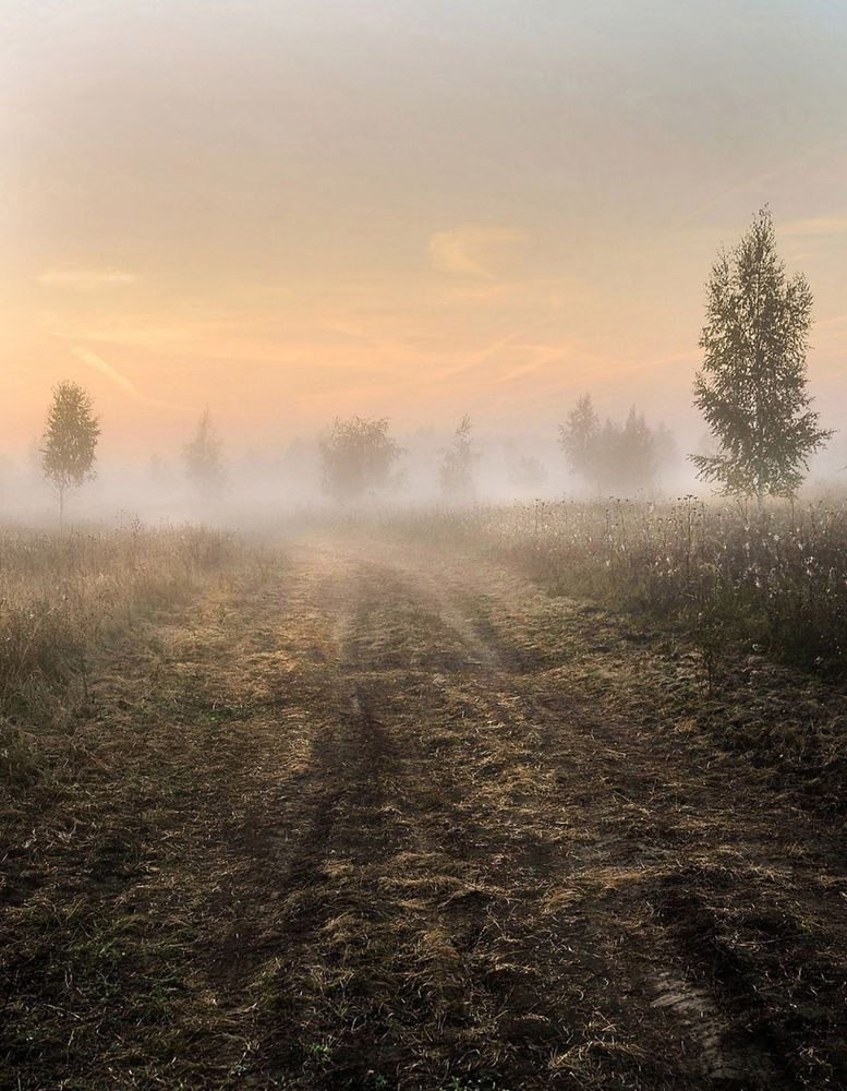 Photograph by Cергей Абакумов