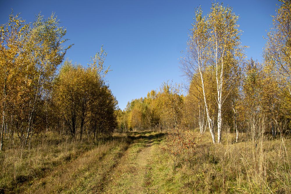 Photograph by Дария Ризниченко