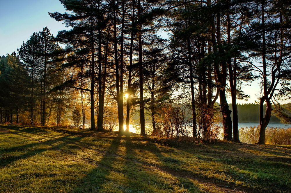 Раннее утро