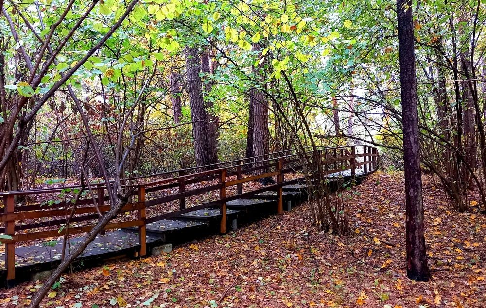 Photograph by Марина Чуева