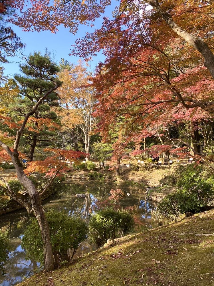 Фотография автора Бакалова Ирина