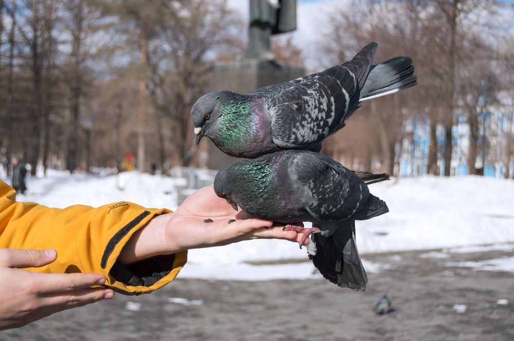 Фотография автора Мария Михайлова