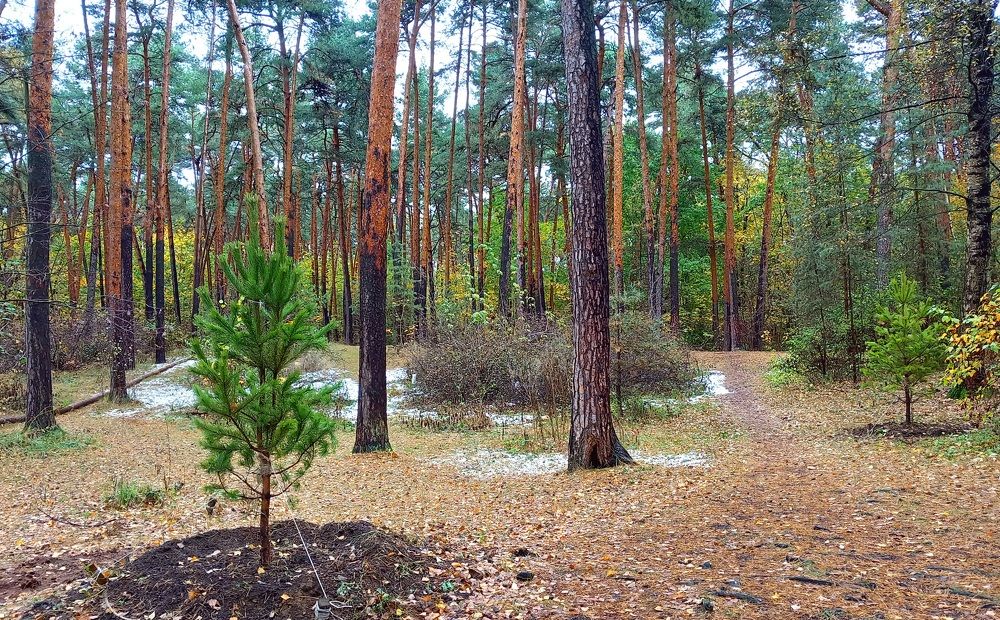 Photograph by Марина Чуева