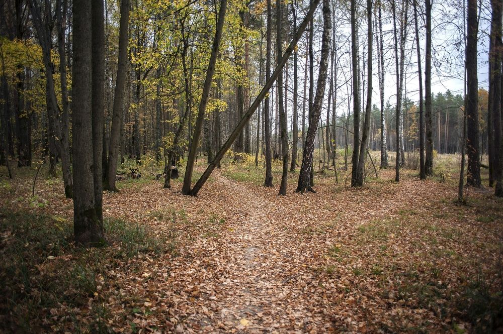 Photograph by Дария Ризниченко