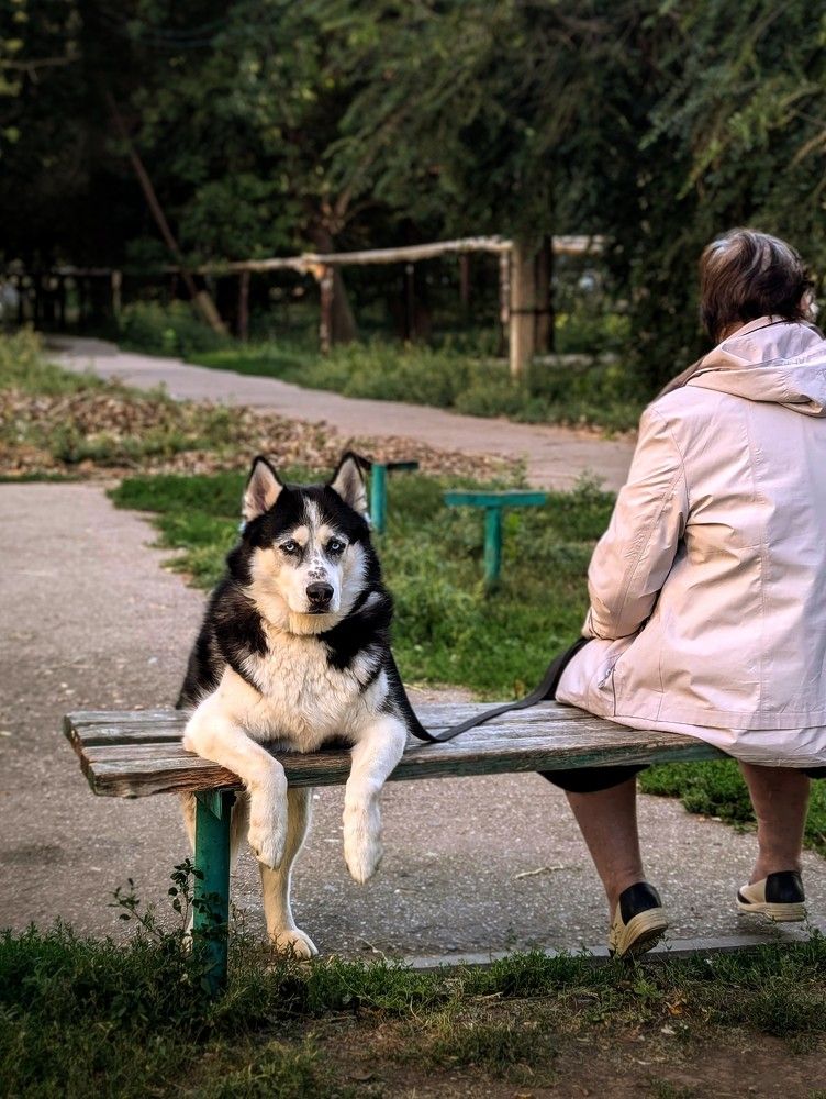 Photograph by AlexaL