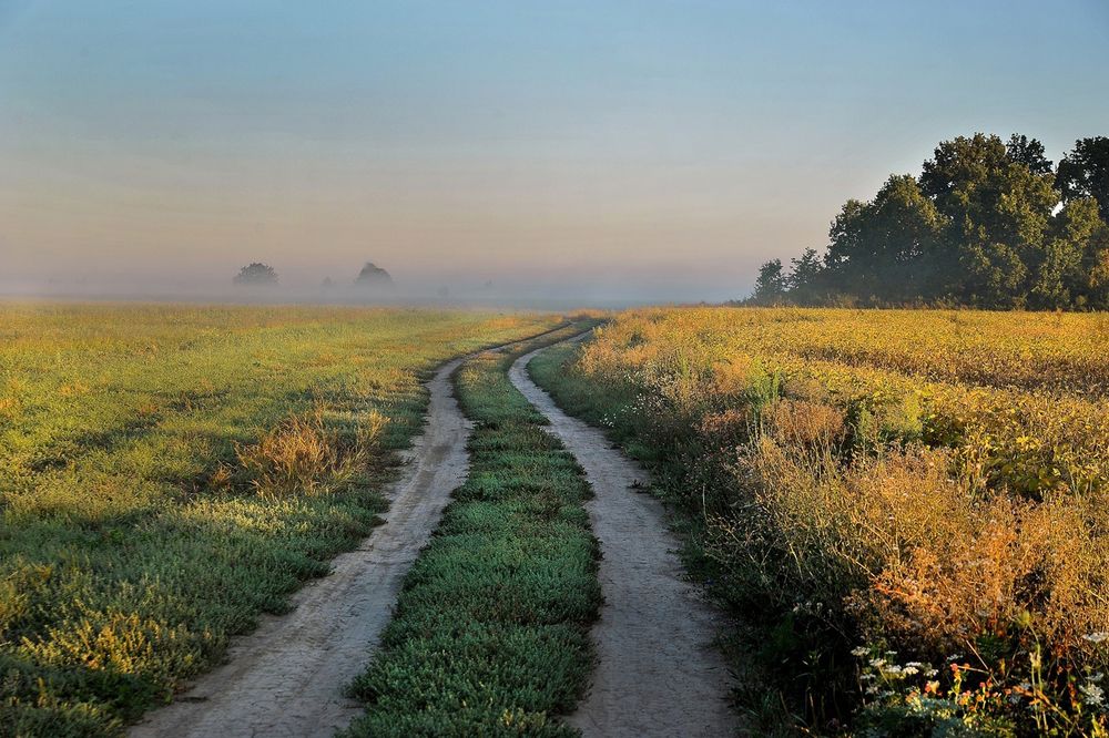 Photograph by Cергей Абакумов