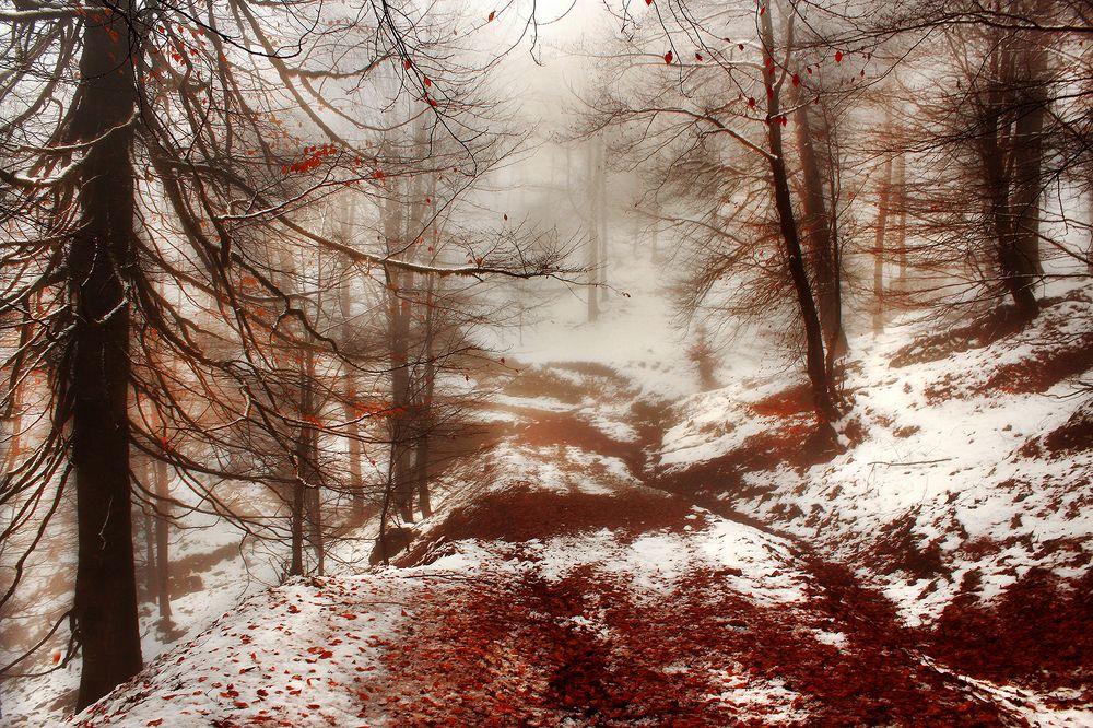 Photograph by hasan sorena jouri