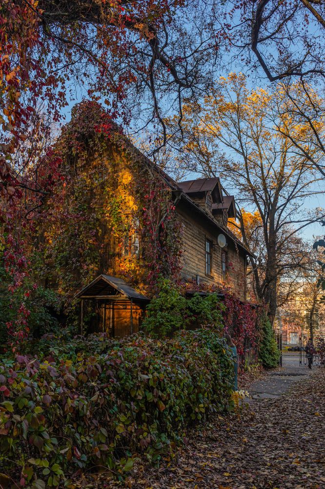 Photograph by Марина Короткова