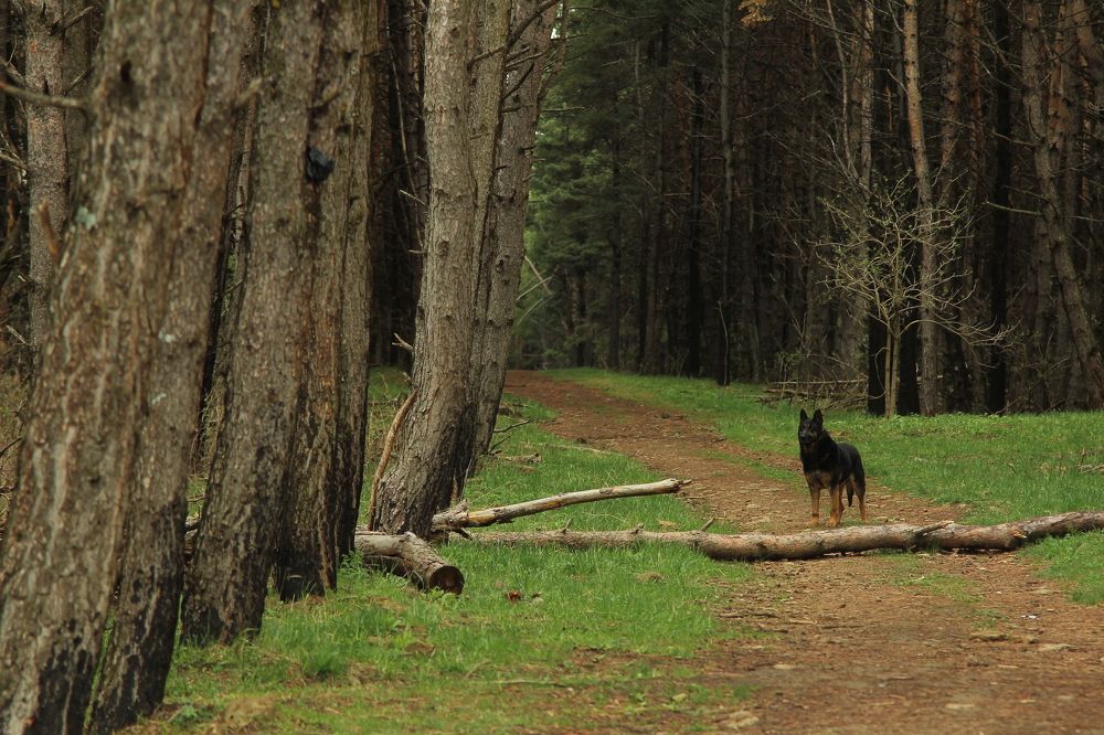 Photograph by Наталья Волкова