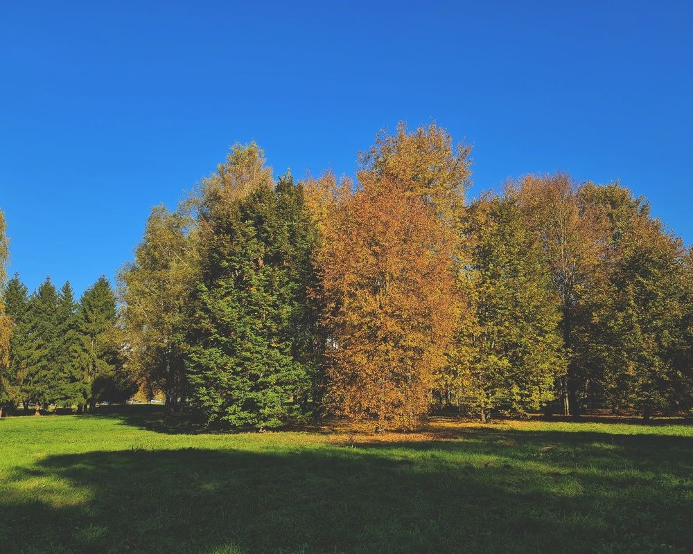 Фотография автора Aliaksandr Kazhdan