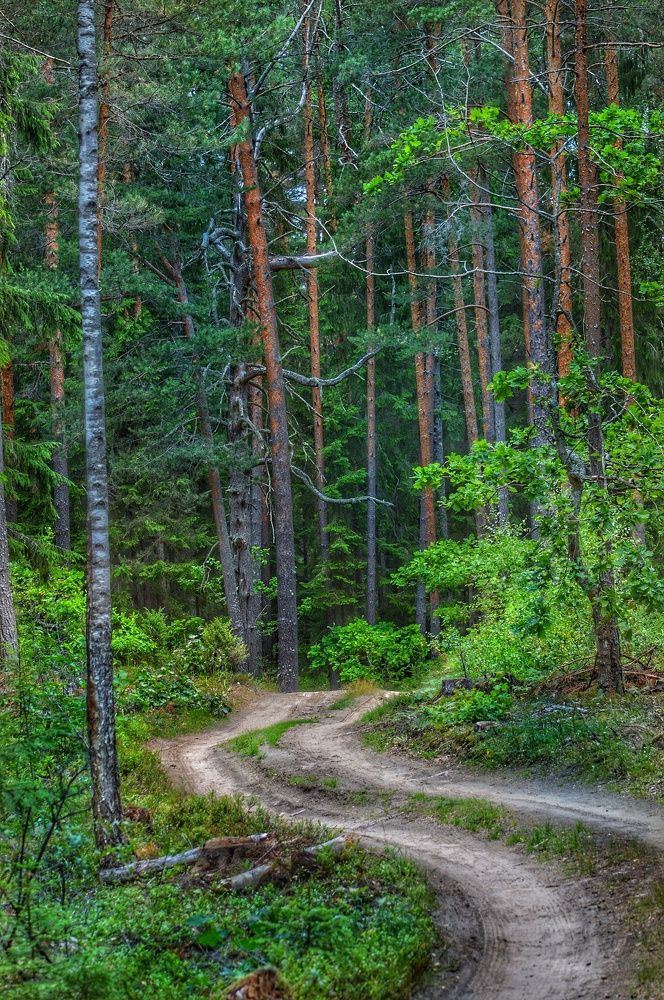 Photograph by Анна Зорька