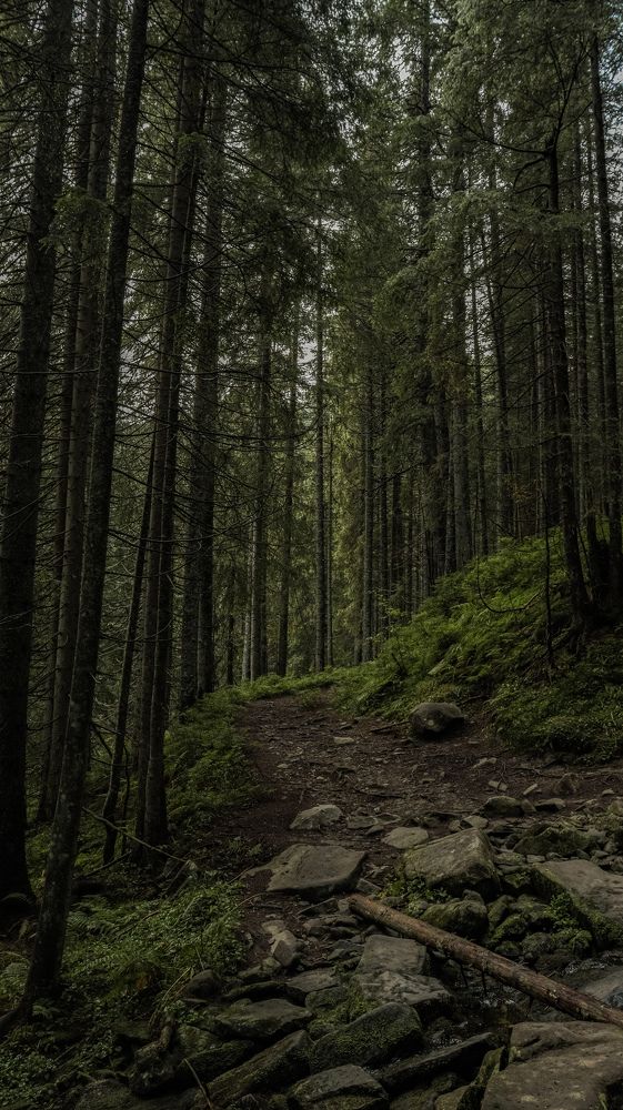 Photograph by Даниил Сырбу