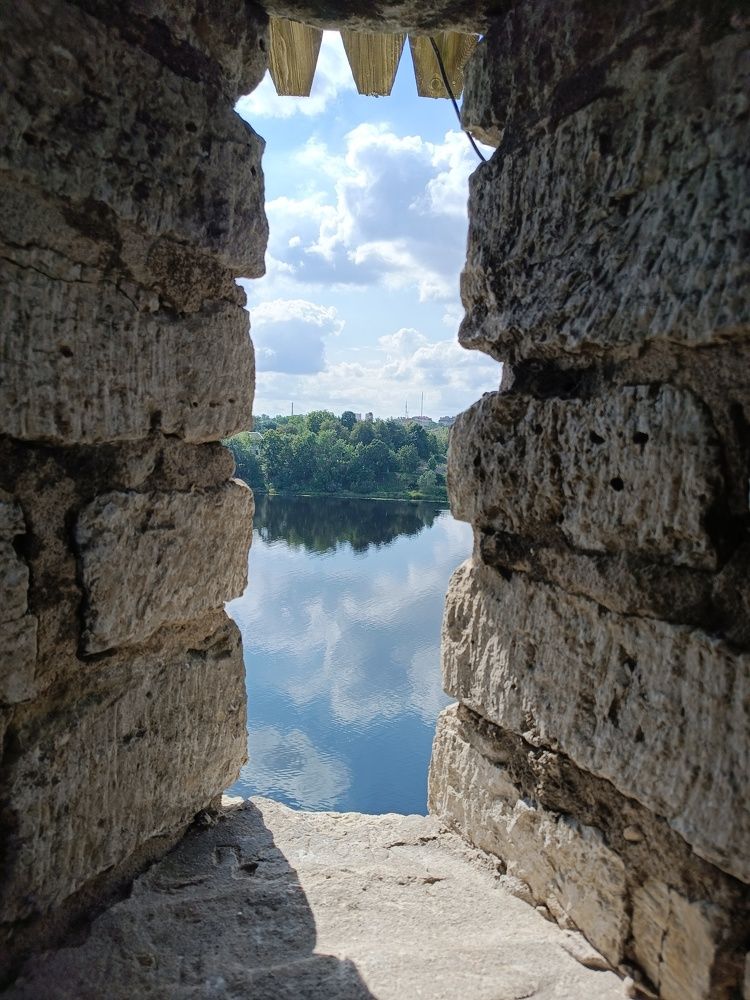 Фотография автора Дарья Петровская