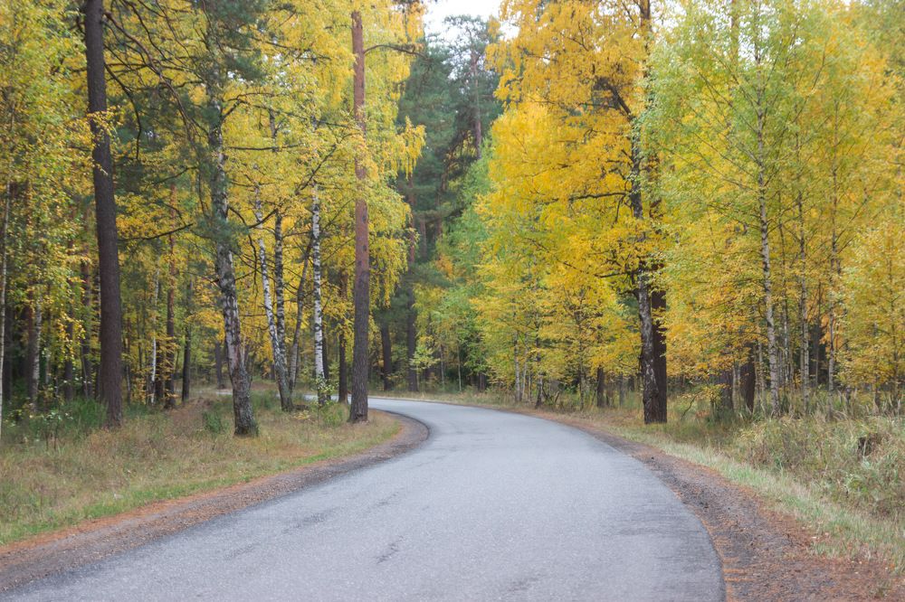 Photograph by Вячеслав