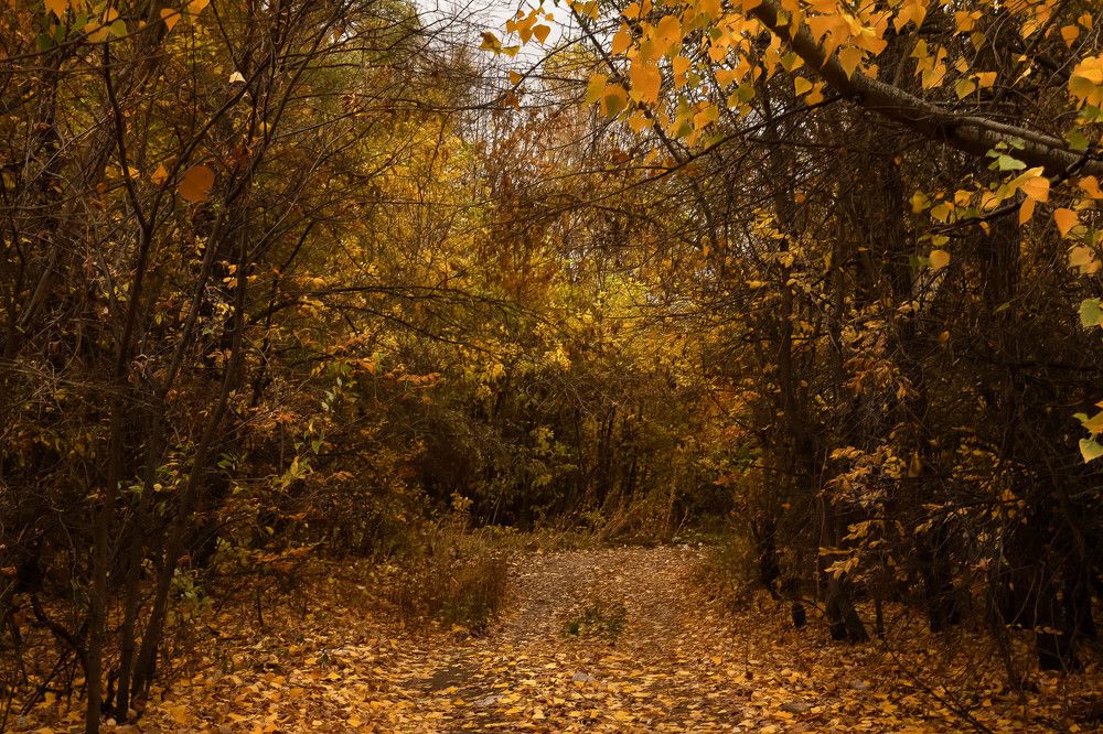 Photograph by Валижон Ходжимирзаев