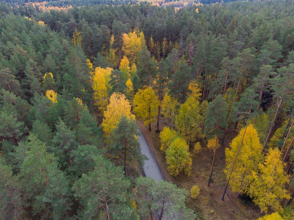 Photograph by Вячеслав