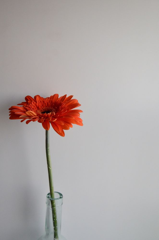 Photograph by Ульяна Бедрицкая