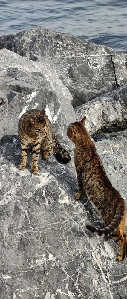 Photograph by Елена