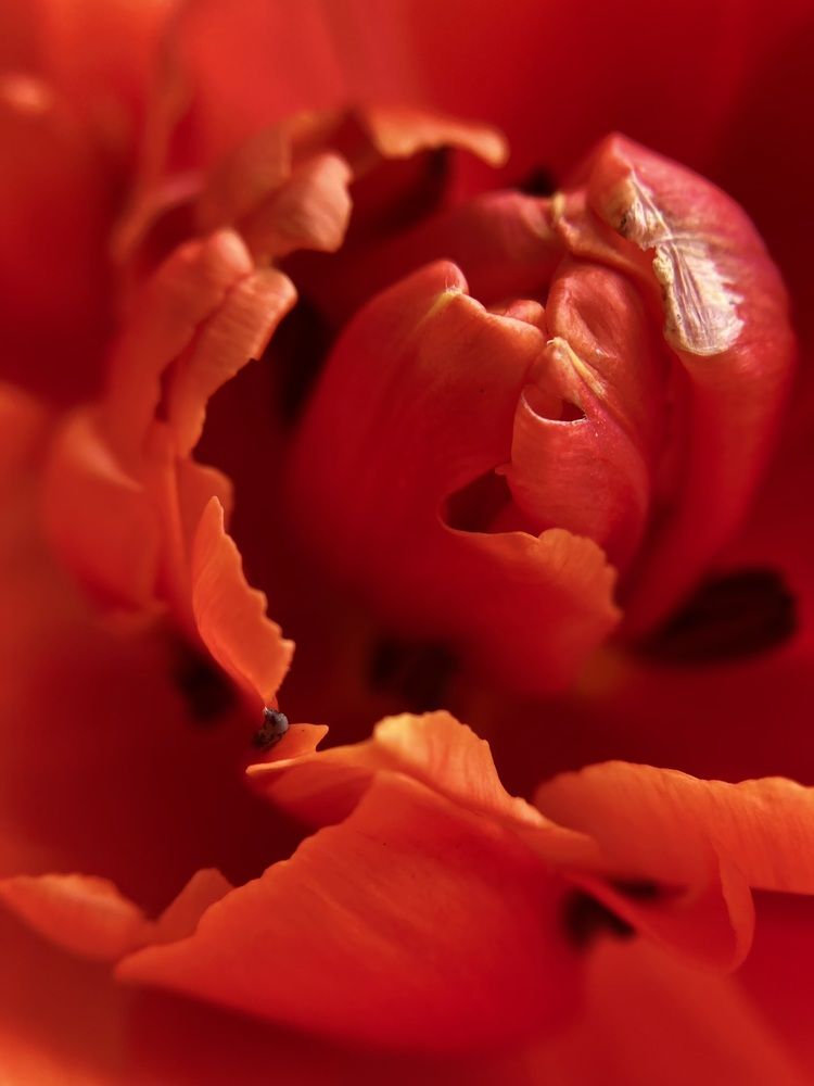 Photograph by Полина Самойлова