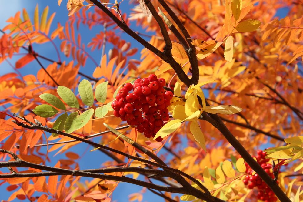 Photograph by Наталья Волкова